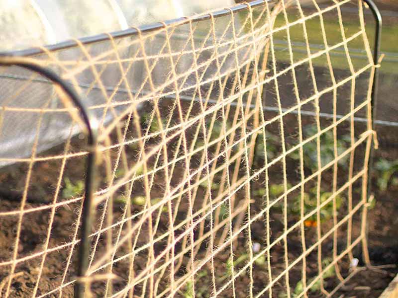 Ranka Jute Trellis Net Howitec partner in netting solutions